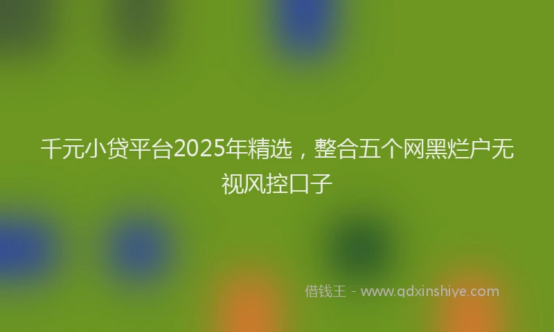 千元小贷平台2025年精选，整合五个网黑烂户无视风控口子