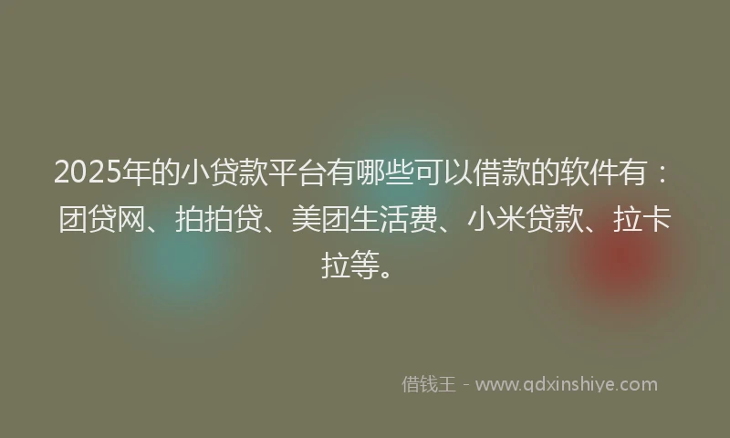 2025年的小贷款平台有哪些可以借款的软件有：团贷网、拍拍贷、美团生活费、小米贷款、拉卡拉等。