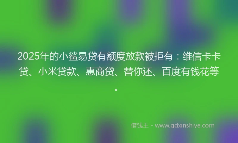 2025年的小鲨易贷有额度放款被拒有：维信卡卡贷、小米贷款、惠商贷、替你还、百度有钱花等。