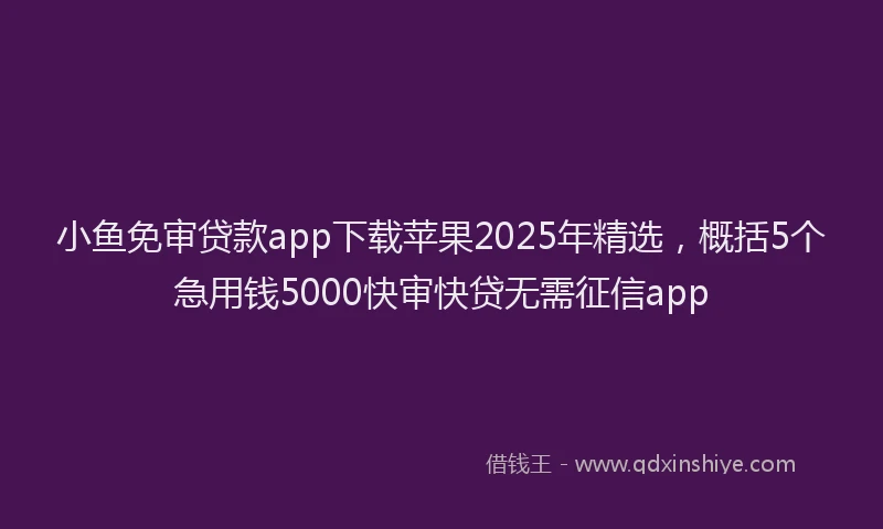 小鱼免审贷款app下载苹果2025年精选，概括5个急用钱5000快审快贷无需征信app