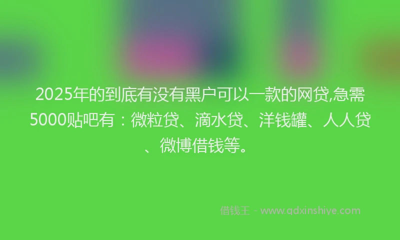 2025年的到底有没有黑户可以一款的网贷,急需5000贴吧有：微粒贷、滴水贷、洋钱罐、人人贷、微博借钱等。