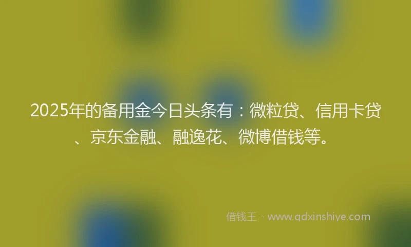 2025年的备用金今日头条有：微粒贷、信用卡贷、京东金融、融逸花、微博借钱等。