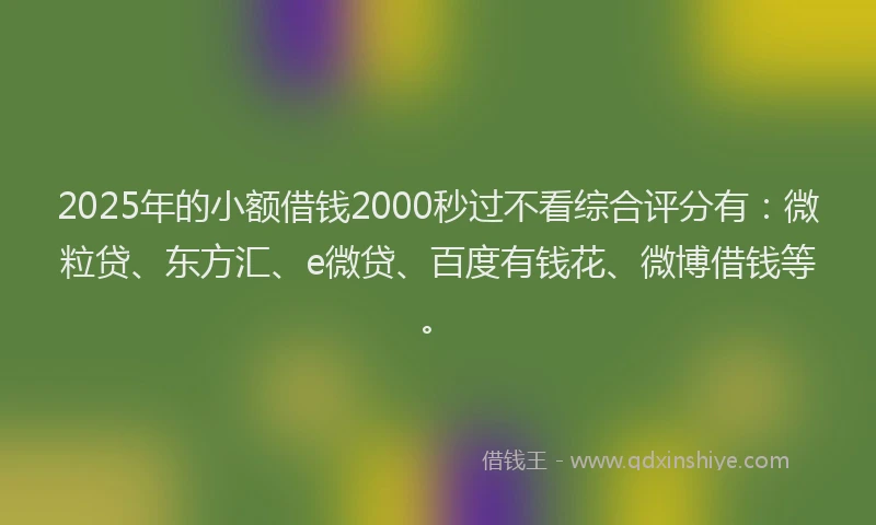 2025年的小额借钱2000秒过不看综合评分有：微粒贷、东方汇、e微贷、百度有钱花、微博借钱等。
