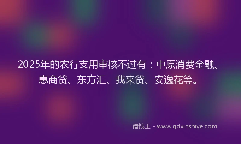 2025年的农行支用审核不过有：中原消费金融、惠商贷、东方汇、我来贷、安逸花等。