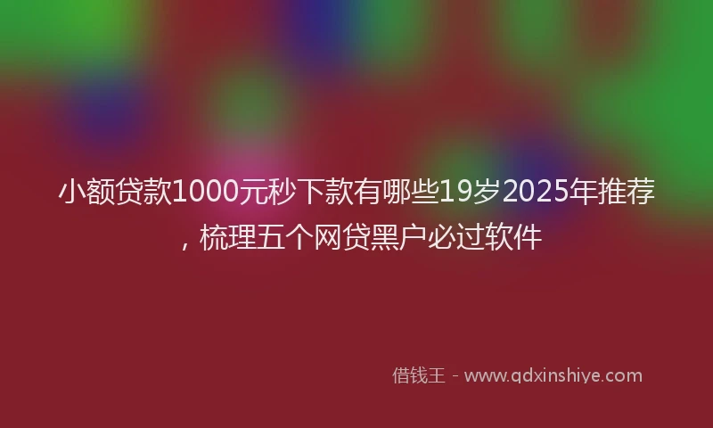 小额贷款1000元秒下款有哪些19岁2025年推荐，梳理五个网贷黑户必过软件