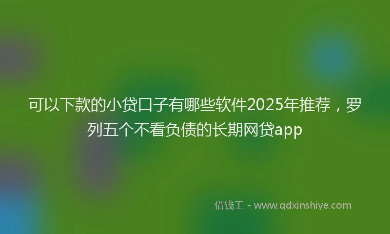 可以下款的小贷口子有哪些软件2025年推荐，罗列五个不看负债的长期网贷app
