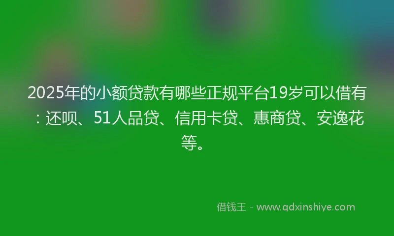 2025年的小额贷款有哪些正规平台19岁可以借有：还呗、51人品贷、信用卡贷、惠商贷、安逸花等。