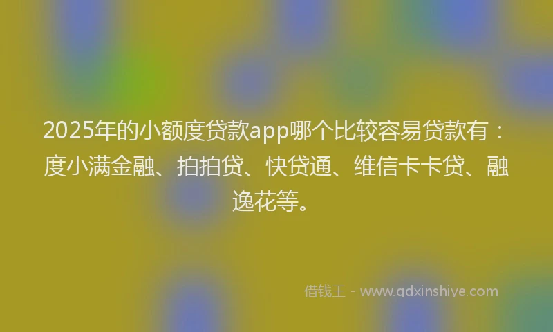 2025年的小额度贷款app哪个比较容易贷款有：度小满金融、拍拍贷、快贷通、维信卡卡贷、融逸花等。