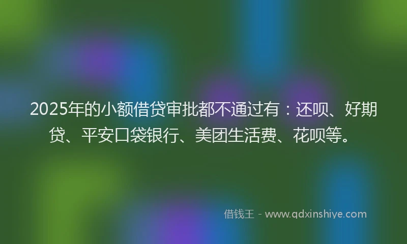 2025年的小额借贷审批都不通过有：还呗、好期贷、平安口袋银行、美团生活费、花呗等。