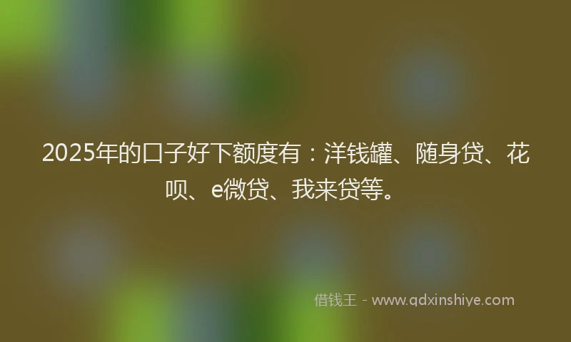 2025年的口子好下额度有：洋钱罐、随身贷、花呗、e微贷、我来贷等。