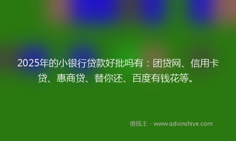 2025年的小银行贷款好批吗有：团贷网、信用卡贷、惠商贷、替你还、百度有钱花等。