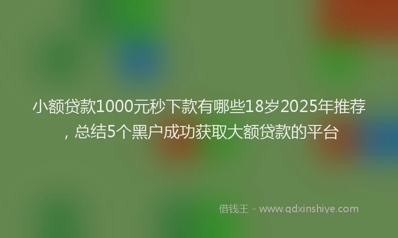 小额贷款1000元秒下款有哪些18岁2025年推荐，总结5个黑户成功获取大额贷款的平台