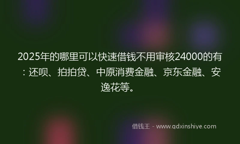 2025年的哪里可以快速借钱不用审核24000的有：还呗、拍拍贷、中原消费金融、京东金融、安逸花等。