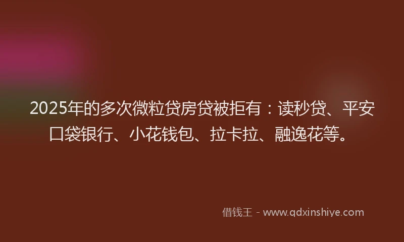 2025年的多次微粒贷房贷被拒有：读秒贷、平安口袋银行、小花钱包、拉卡拉、融逸花等。