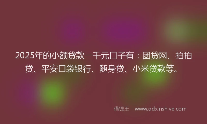2025年的小额贷款一千元口子有：团贷网、拍拍贷、平安口袋银行、随身贷、小米贷款等。