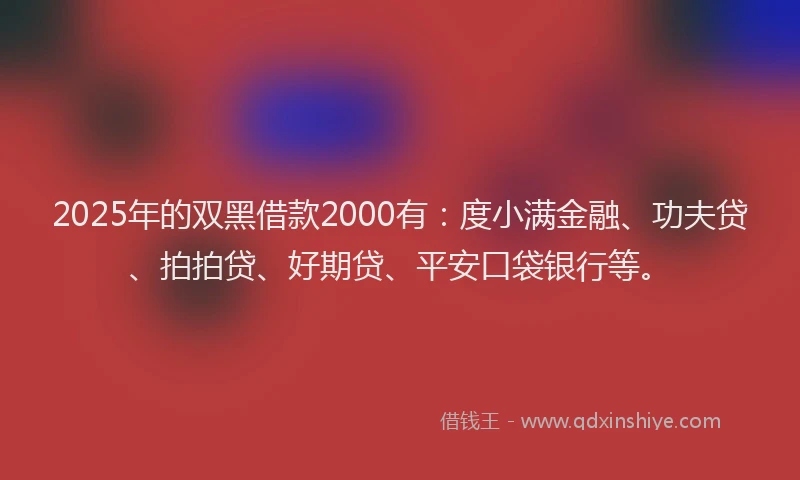 2025年的双黑借款2000有：度小满金融、功夫贷、拍拍贷、好期贷、平安口袋银行等。