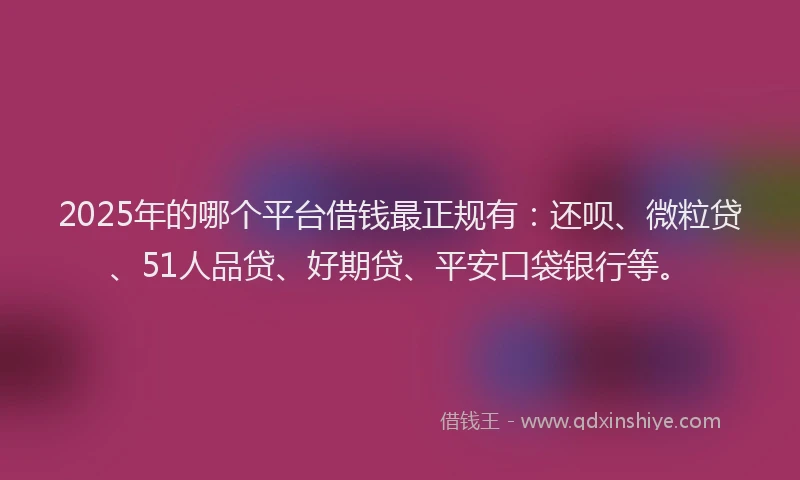 2025年的哪个平台借钱最正规有：还呗、微粒贷、51人品贷、好期贷、平安口袋银行等。