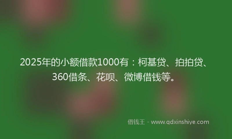 2025年的小额借款1000有：柯基贷、拍拍贷、360借条、花呗、微博借钱等。