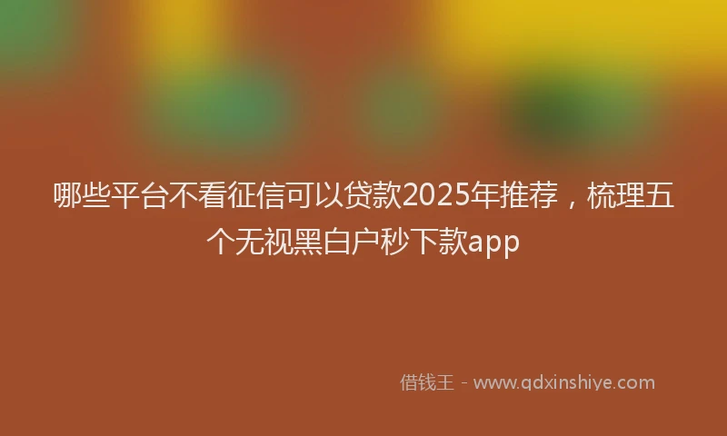 哪些平台不看征信可以贷款2025年推荐，梳理五个无视黑白户秒下款app