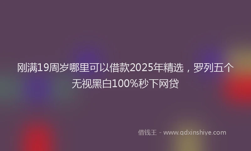 刚满19周岁哪里可以借款2025年精选，罗列五个无视黑白100%秒下网贷