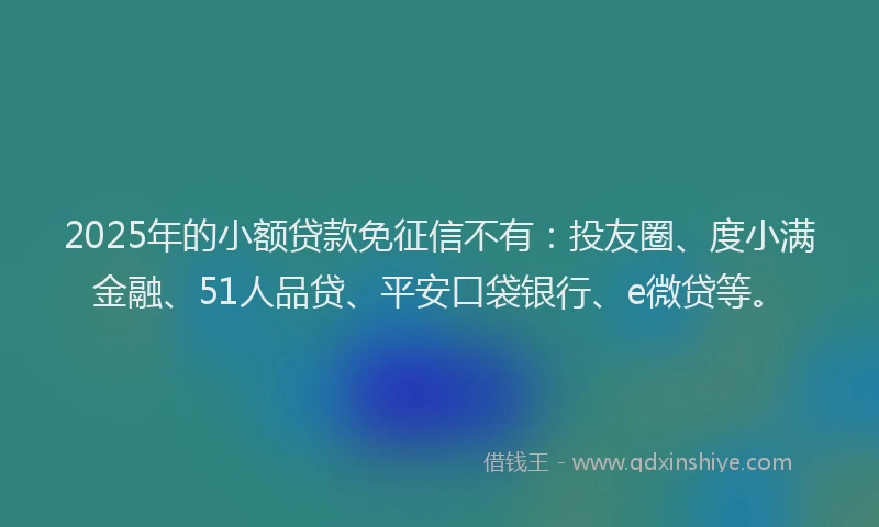 2025年的小额贷款免征信不有：投友圈、度小满金融、51人品贷、平安口袋银行、e微贷等。