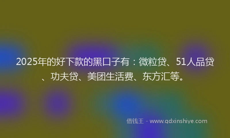 2025年的好下款的黑口子有：微粒贷、51人品贷、功夫贷、美团生活费、东方汇等。