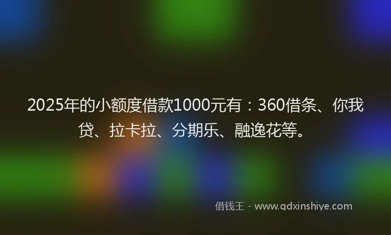 2025年的小额度借款1000元有：360借条、你我贷、拉卡拉、分期乐、融逸花等。