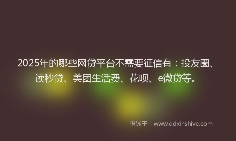 2025年的哪些网贷平台不需要征信有：投友圈、读秒贷、美团生活费、花呗、e微贷等。