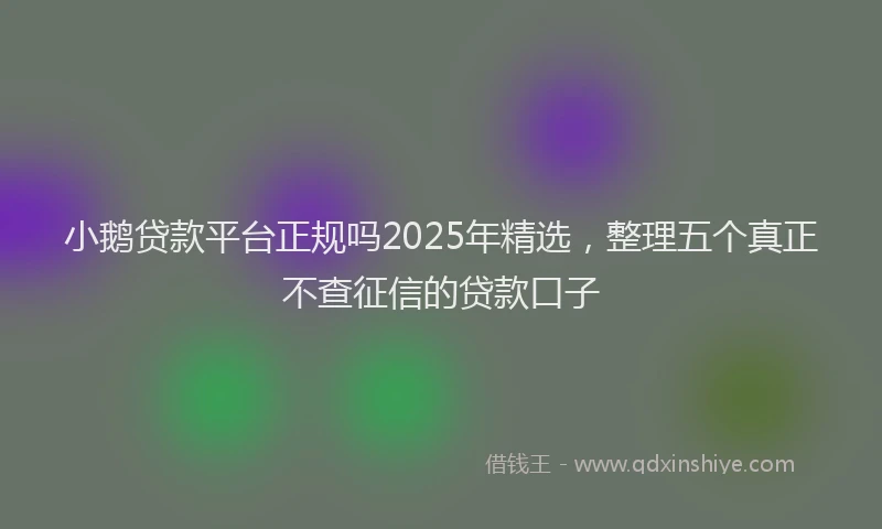 小鹅贷款平台正规吗2025年精选，整理五个真正不查征信的贷款口子