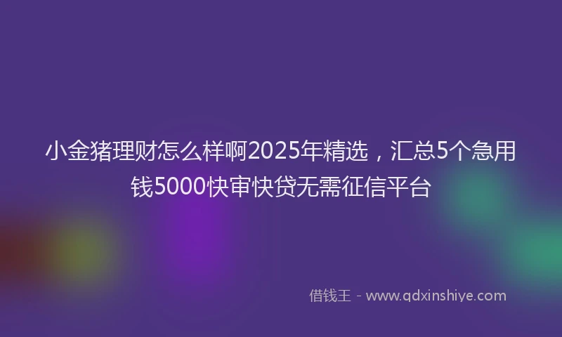 小金猪理财怎么样啊2025年精选，汇总5个急用钱5000快审快贷无需征信平台