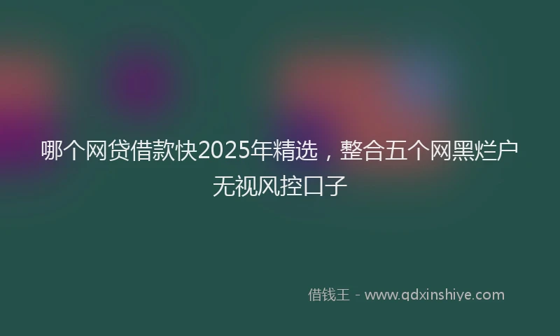 哪个网贷借款快2025年精选，整合五个网黑烂户无视风控口子