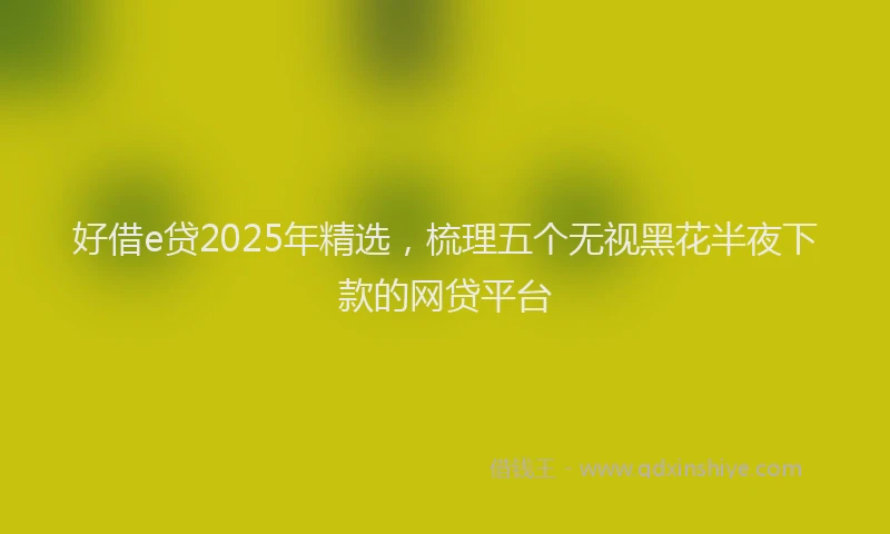 好借e贷2025年精选，梳理五个无视黑花半夜下款的网贷平台