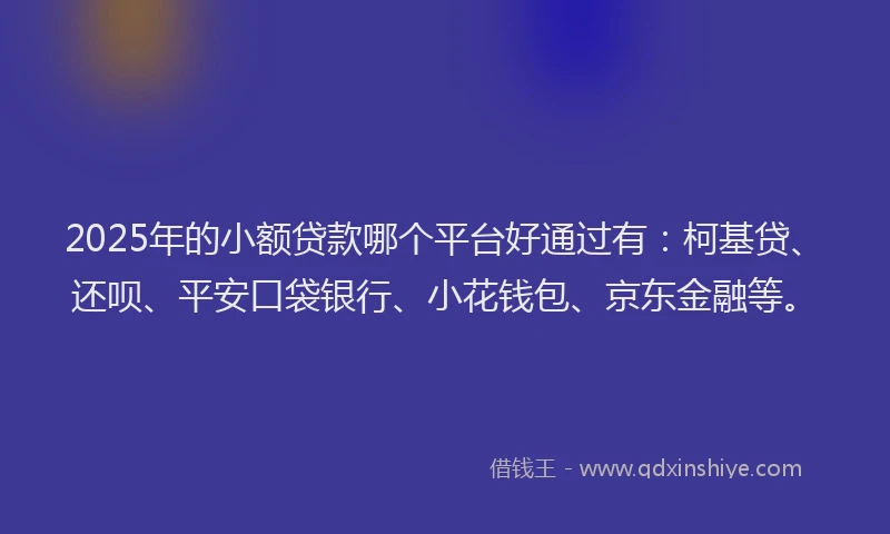 2025年的小额贷款哪个平台好通过有：柯基贷、还呗、平安口袋银行、小花钱包、京东金融等。