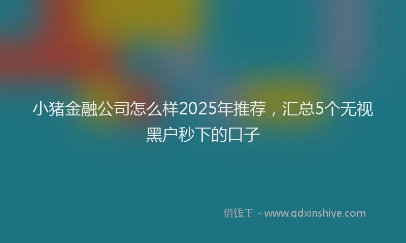 小猪金融公司怎么样2025年推荐，汇总5个无视黑户秒下的口子