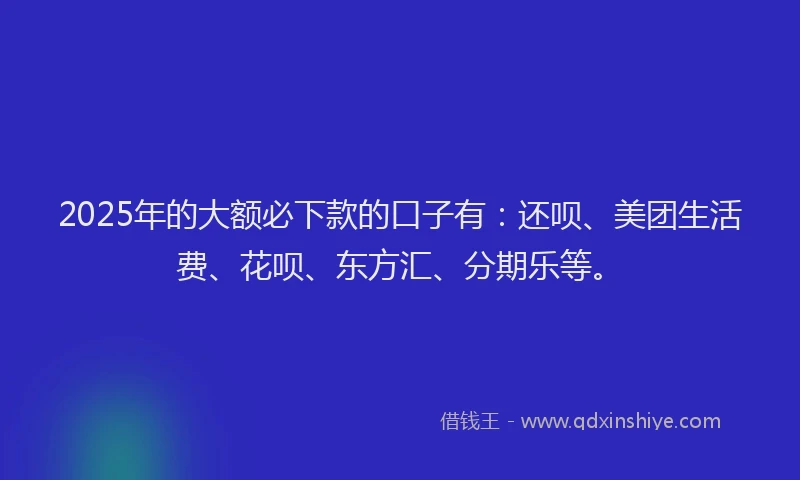 2025年的大额必下款的口子有：还呗、美团生活费、花呗、东方汇、分期乐等。