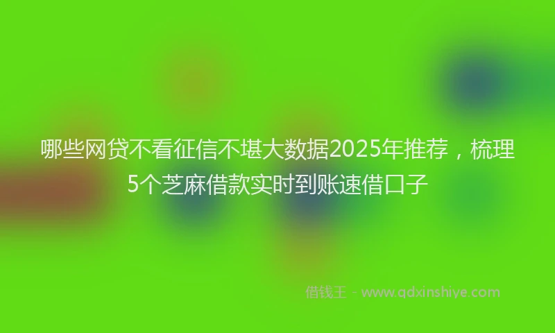 哪些网贷不看征信不堪大数据2025年推荐，梳理5个芝麻借款实时到账速借口子
