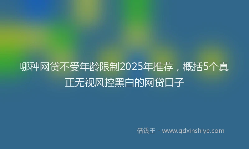 哪种网贷不受年龄限制2025年推荐，概括5个真正无视风控黑白的网贷口子