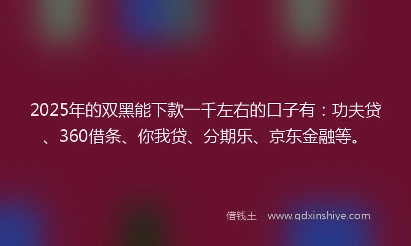 2025年的双黑能下款一千左右的口子有：功夫贷、360借条、你我贷、分期乐、京东金融等。