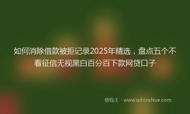 如何消除借款被拒记录2025年精选，盘点五个不看征信无视黑白百分百下款网贷口子