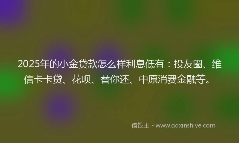 2025年的小金贷款怎么样利息低有：投友圈、维信卡卡贷、花呗、替你还、中原消费金融等。