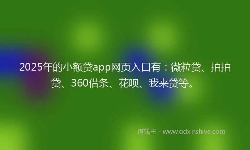 2025年的小额贷app网页入口有：微粒贷、拍拍贷、360借条、花呗、我来贷等。