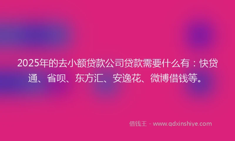 2025年的去小额贷款公司贷款需要什么有：快贷通、省呗、东方汇、安逸花、微博借钱等。