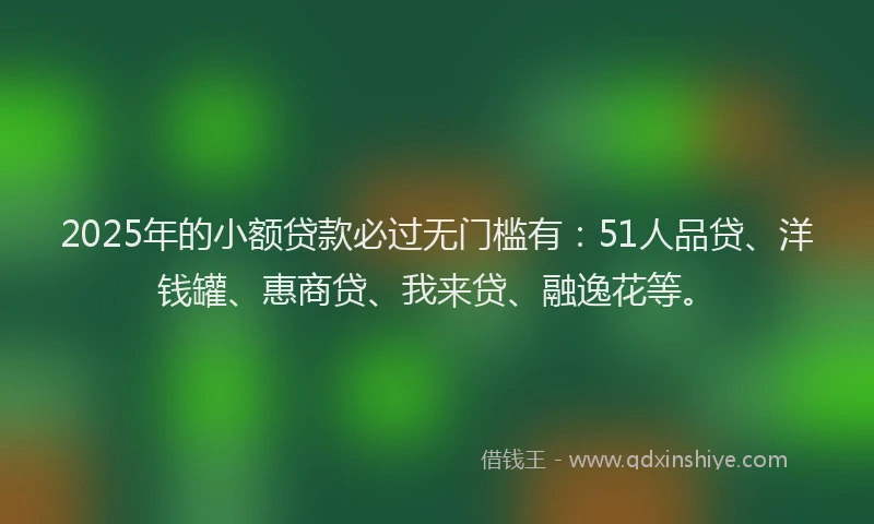 2025年的小额贷款必过无门槛有：51人品贷、洋钱罐、惠商贷、我来贷、融逸花等。