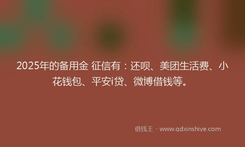 2025年的备用金 征信有：还呗、美团生活费、小花钱包、平安i贷、微博借钱等。