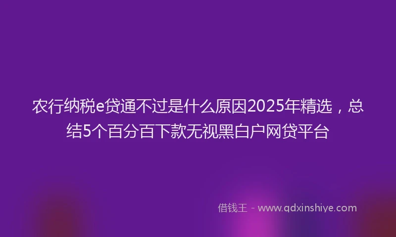 农行纳税e贷通不过是什么原因2025年精选，总结5个百分百下款无视黑白户网贷平台