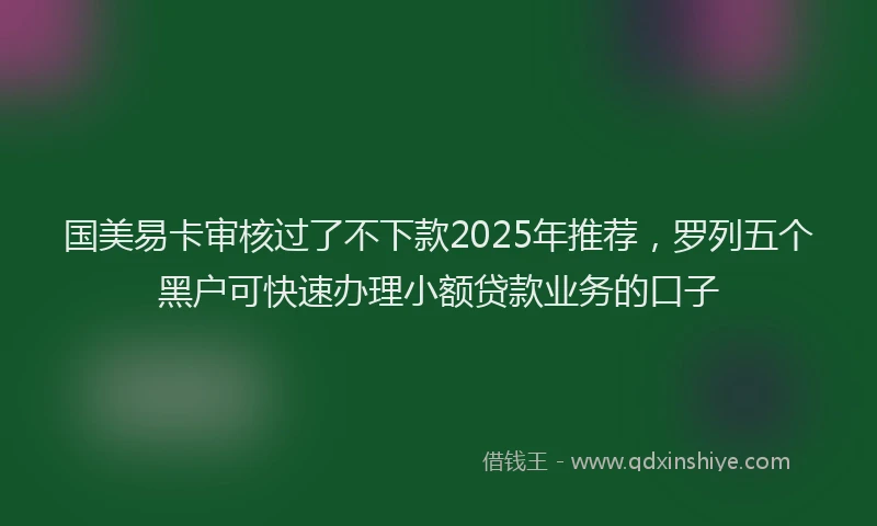 国美易卡审核过了不下款2025年推荐，罗列五个黑户可快速办理小额贷款业务的口子