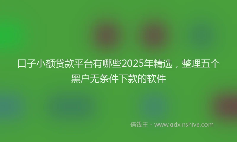 口子小额贷款平台有哪些2025年精选，整理五个黑户无条件下款的软件