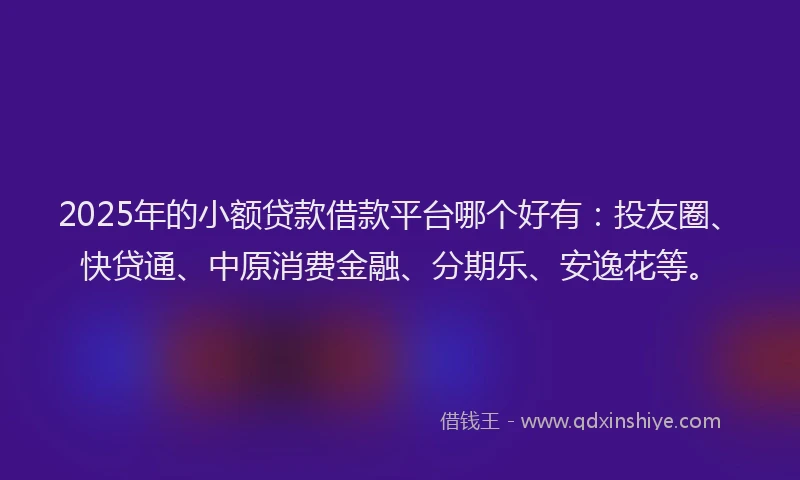 2025年的小额贷款借款平台哪个好有：投友圈、快贷通、中原消费金融、分期乐、安逸花等。