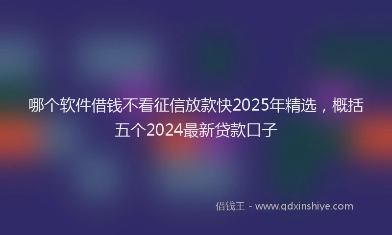 哪个软件借钱不看征信放款快2025年精选，概括五个2024最新贷款口子