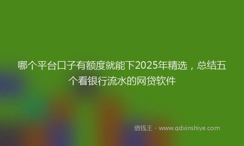 哪个平台口子有额度就能下2025年精选，总结五个看银行流水的网贷软件